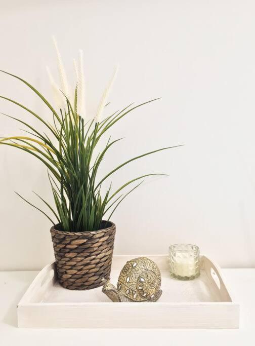 Emerald Mini Suite:Your Deluxe Studio In Kalamaria 塞萨洛尼基 外观 照片
